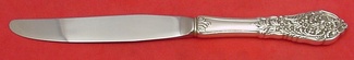 Dinner Knife modern  9 1/2