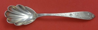 Sugar Spoon shell  5 7/8