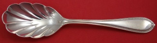 Sugar Spoon shell  6