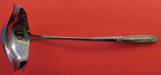 Punch Ladle WS  13