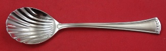 Sugar Spoon shell  6 3/8