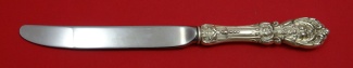 Dinner Knife modern  9 5/8