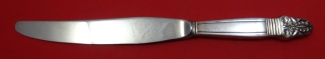 Dinner Knife 9 7/8