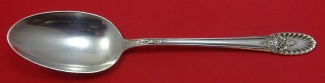 Serving Spoon 8 1/2