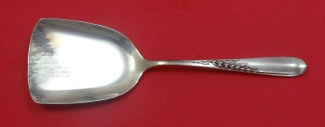 Nut Spoon shovel shape  5