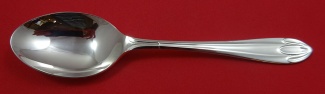 Teaspoon new never used 6