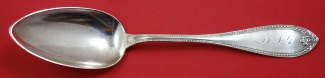 Serving Spoon 8 5/8