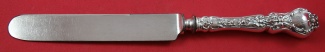 Regular Knife blunt  silver plate blades  8 1/2