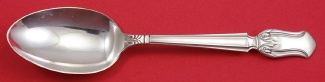 Serving Spoon 8
