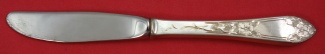 Butter Spreader hollow handle new, never used  modern  6 1/4