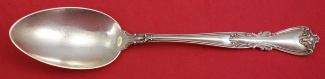 Serving Spoon 8