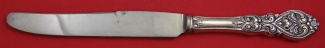 Dinner Knife french  beveled  9 5/8