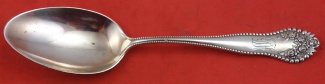 Pap Spoon 6