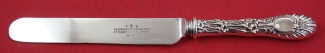 Dinner Knife blunt  9 3/8