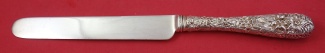 Dinner Knife all around design  blunt  w/ silverplated blade  9 1/2