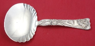 Bon Bon Spoon from Roslyn Berlin collection pictured in the book 