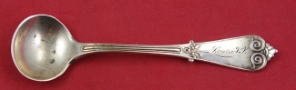 Salt Spoon Master 3 1/2