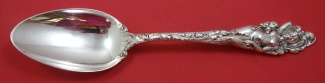Serving Spoon Circa 1980  excellent  detail 8 1/4