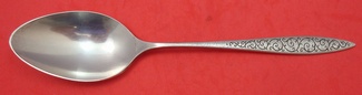 Serving Spoon 8 1/2