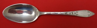 Serving Spoon 7 3/4