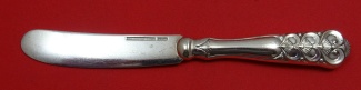Butter Spreader hollow handle AS  5 3/4