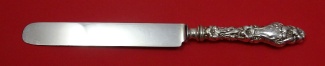 Dinner Knife WS blunt  9 5/8