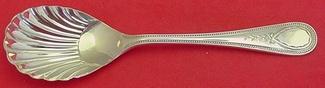 Sugar Spoon shell  5 3/4