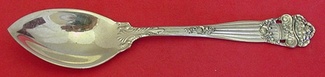 Grapefruit Spoon wider bowl  5 1/2