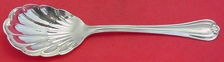 Sugar Spoon shell  6 1/4
