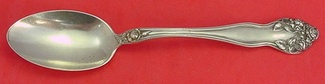 Serving Spoon 8 1/2