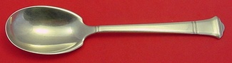 Preserve Spoon 7 1/4