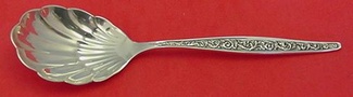 Sugar Spoon shell  6 1/4