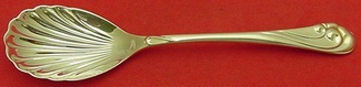 Sugar Spoon shell   6 1/4