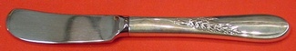 Butter Spreader hollow handle paddle  5 7/8