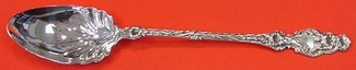Stuffing Spoon w/ button  11 1/4