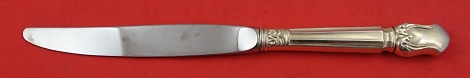 Dinner Knife  modern 9 1/2