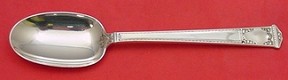 Serving Spoon 8 1/4