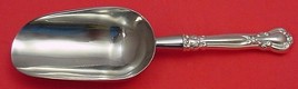 Ice Scoop custom made  HH  WS  9