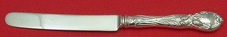 Regular Knife blunt  8 3/4