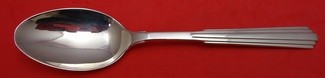Serving Spoon 8