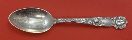 Teaspoon souvenir  
