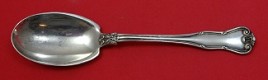 Preserve Spoon 7 1/4
