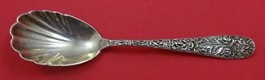 Sugar Spoon shell  5 7/8