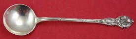 Chocolate Spoon 5 1/2