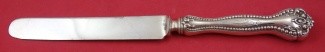 Dinner Knife blunt  9 5/8
