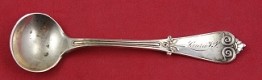 Salt Spoon Master 3 1/2