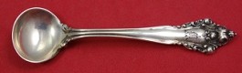 Salt Spoon Master  3 1/2