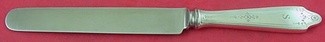 Dinner Knife 9 5/8