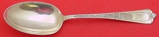 Serving Spoon 8 1/4