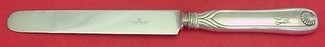 Dinner Knife blunt  stainless  10 1/4
